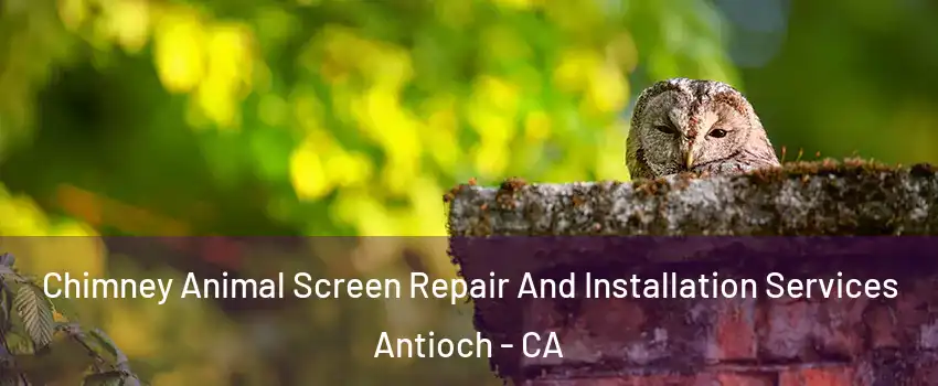 Chimney Animal Screen Repair And Installation Services Antioch - CA