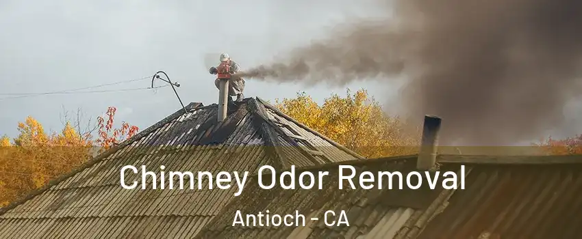  Chimney Odor Removal Antioch - CA