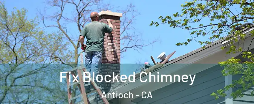  Fix Blocked Chimney Antioch - CA
