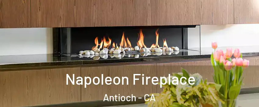  Napoleon Fireplace Antioch - CA
