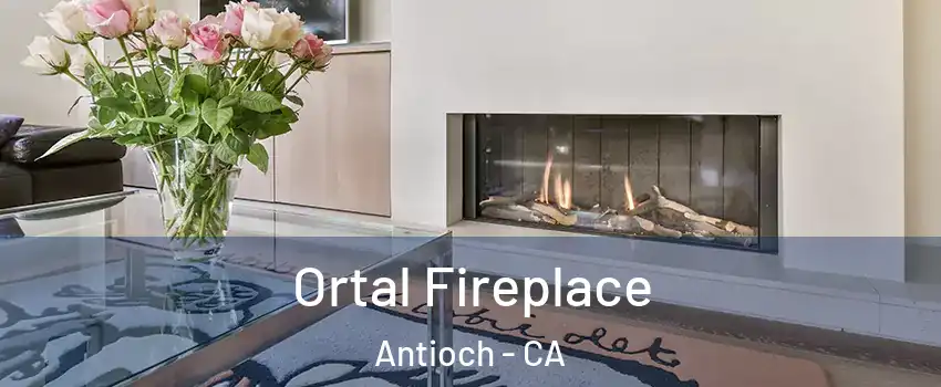  Ortal Fireplace Antioch - CA